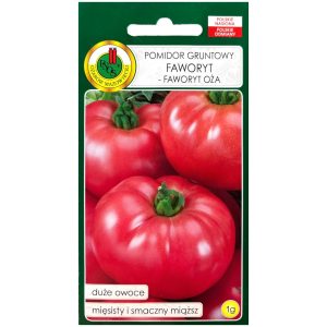 Pomidor Faworyt nasiona PNOS